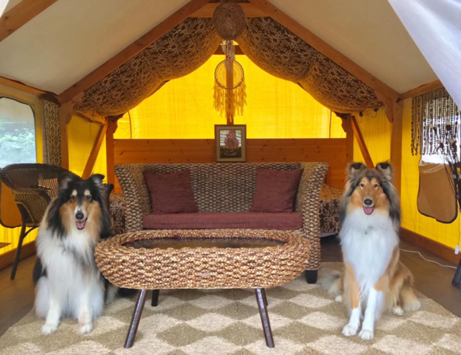 Ｃａｍｐ　ｉｎｎ　清里　グランデール 愛犬との滞在写真 2