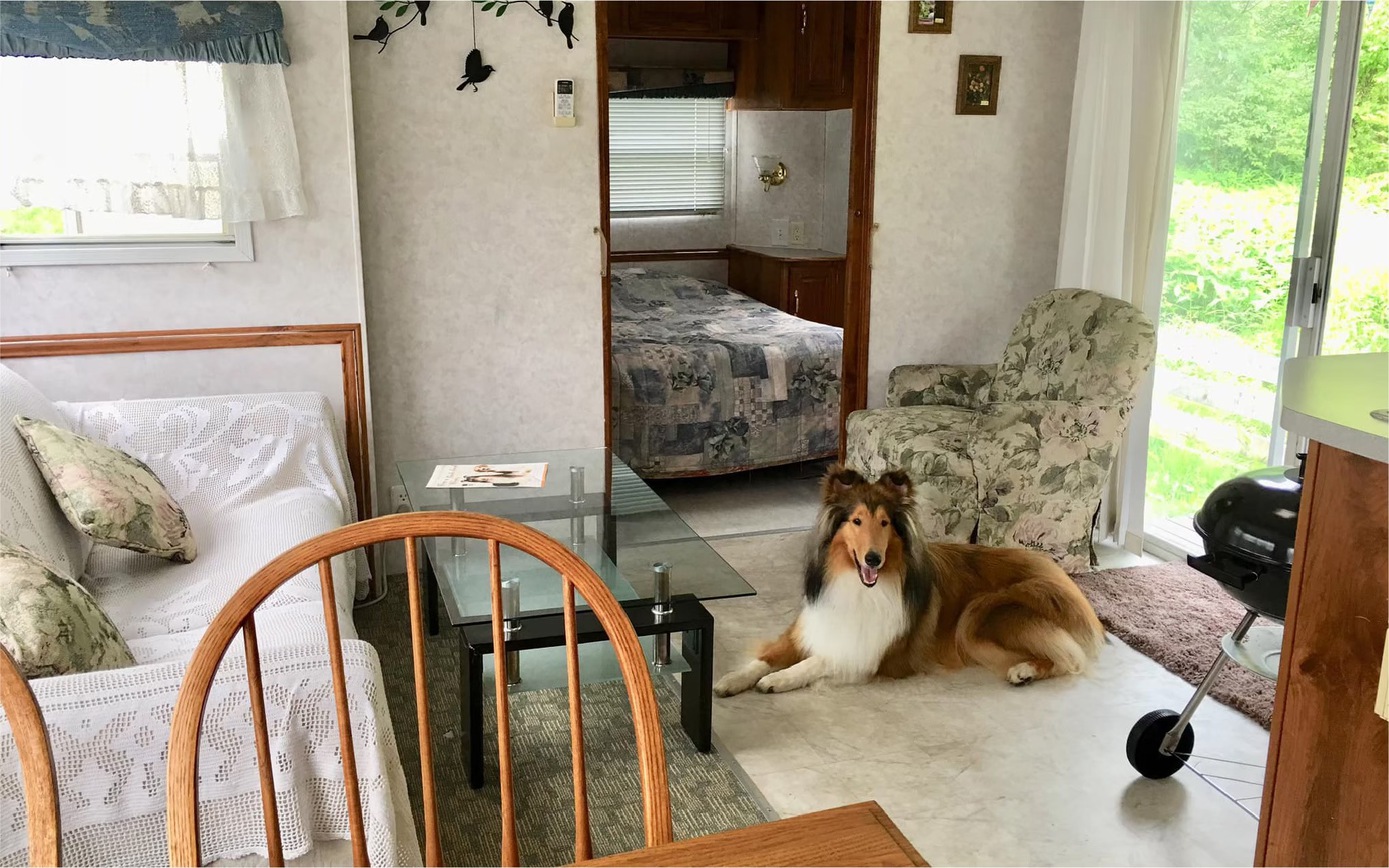 Ｃａｍｐ　ｉｎｎ　清里　グランデール 愛犬との滞在写真 3