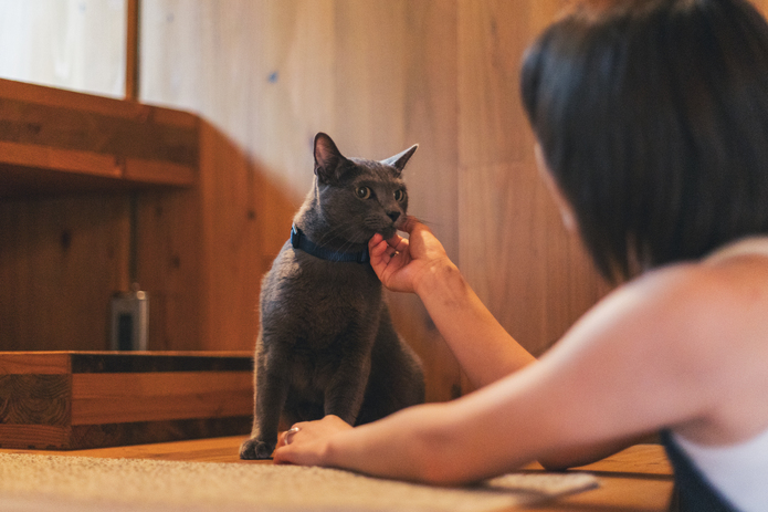 Ｅａｒｔｈｂｏａｔ　Ｕｅｄａ　Ｏｎｓｅｎ 愛犬との滞在写真 3