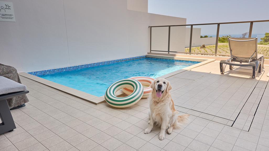pet image 1