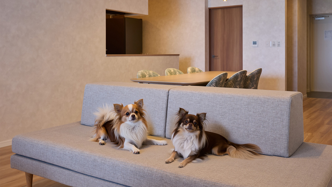pet image 1