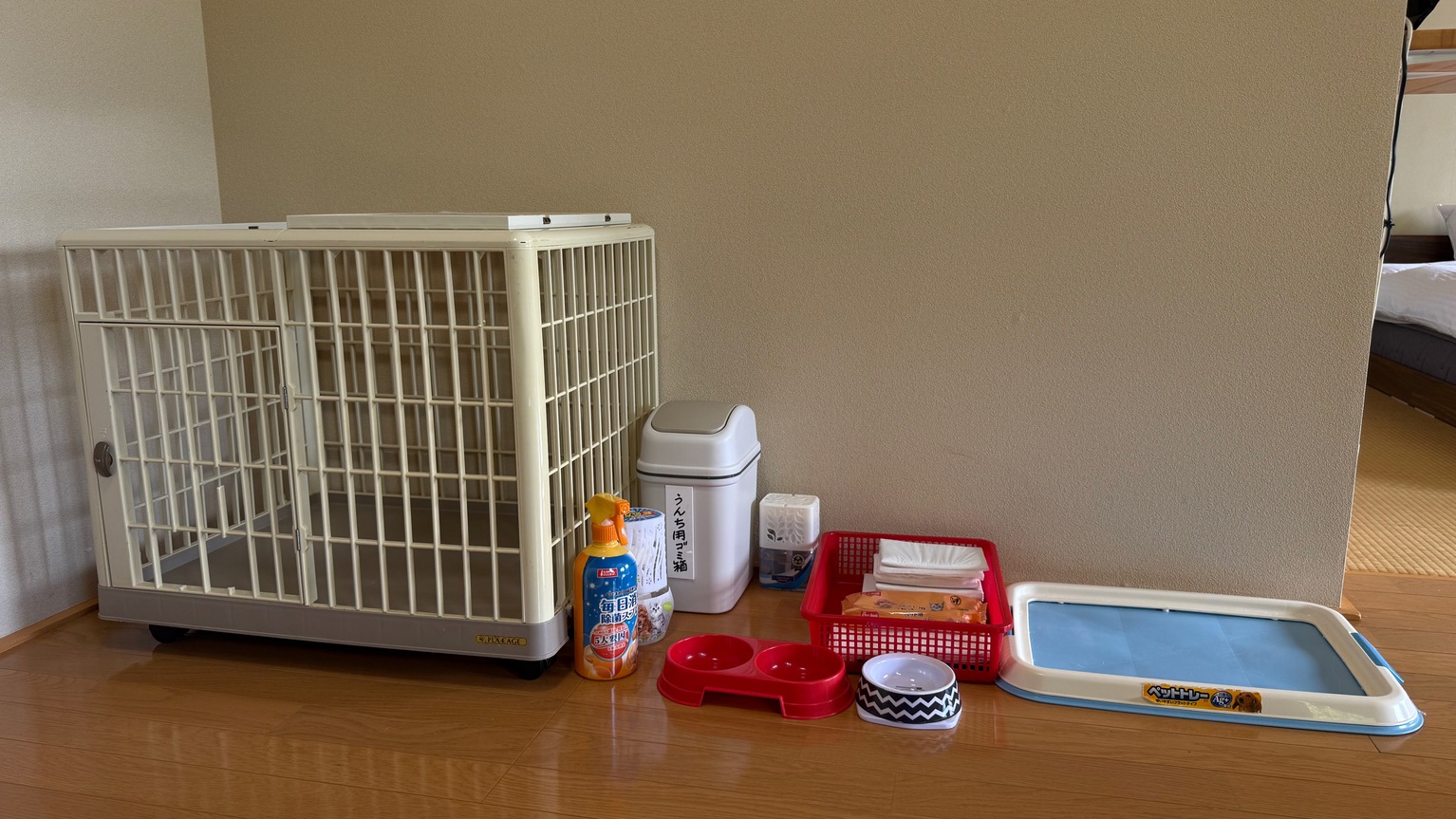 pet image 1