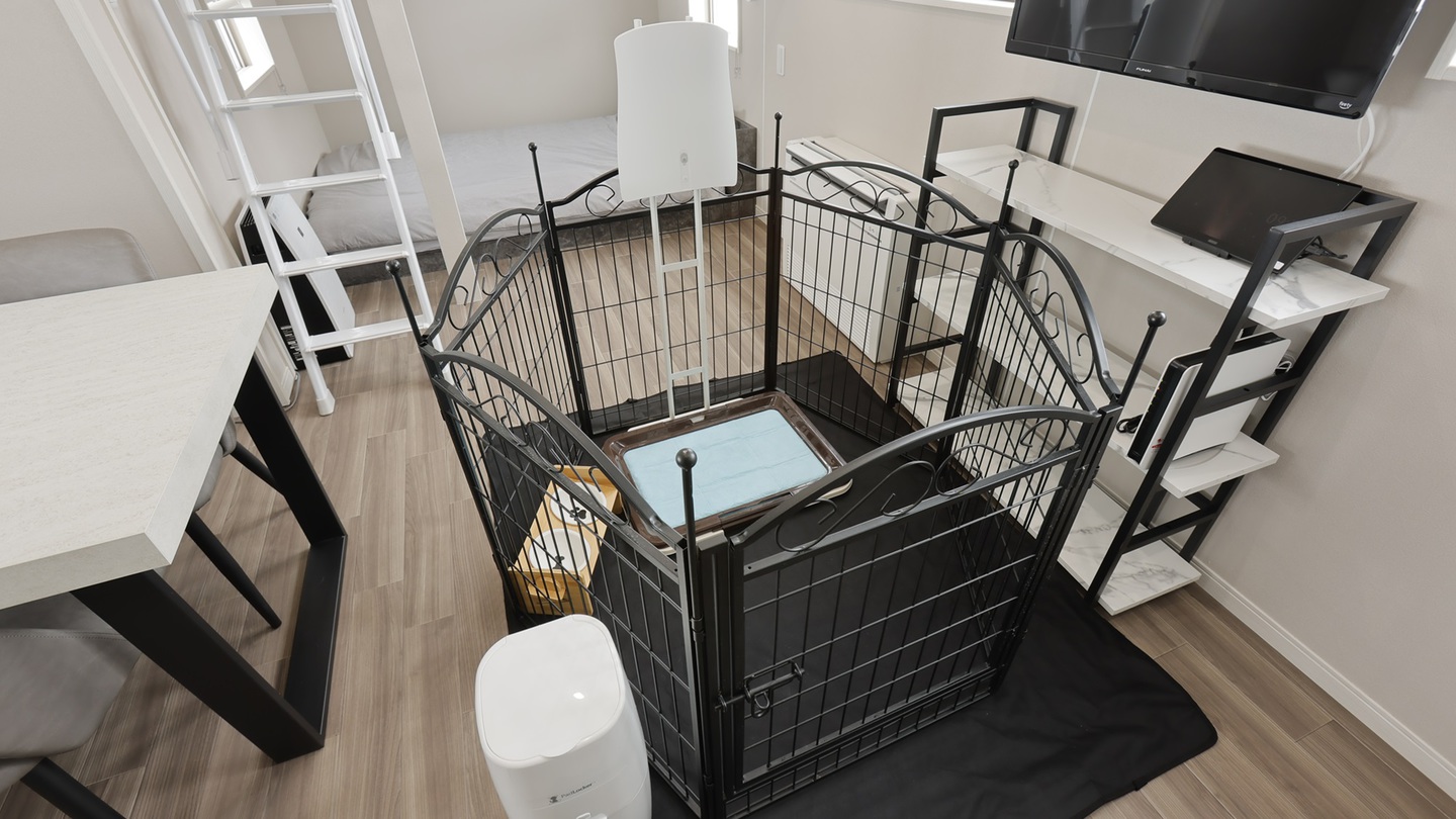 pet image 1